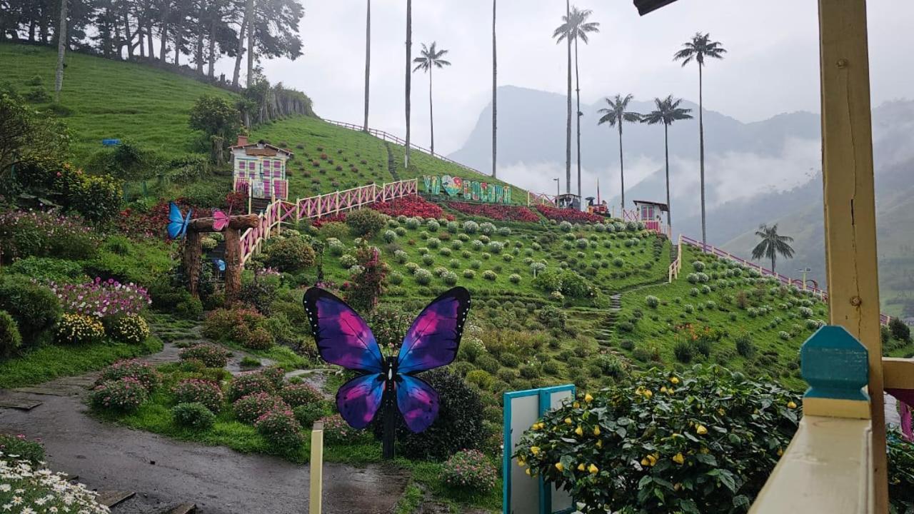 Casa Campo Valle De Cocora ซาเลนโต ภายนอก รูปภาพ