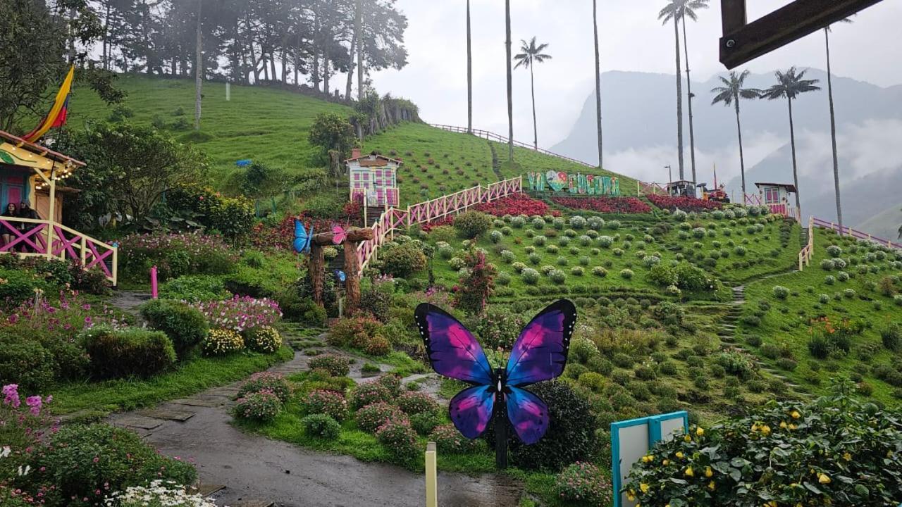 Casa Campo Valle De Cocora ซาเลนโต ภายนอก รูปภาพ